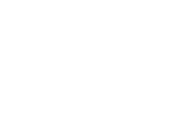 showtime-new
